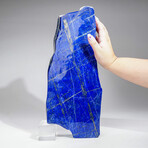 Genuine Giant Lapis Lazuli Freeform