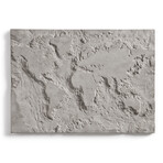 Singleton // The Gray Planet