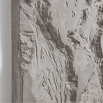 Singleton // The Gray Planet