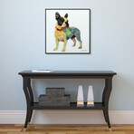 Boston Terrier // Alex Zeng // Anodized Aluminum Black Frame (Boston Terrier 1)