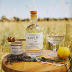 Barr Hill Vermont Gin Gift Set // Set of 3