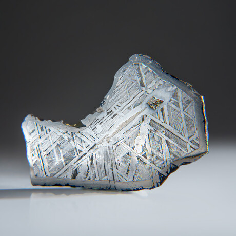 Genuine Natural Muonionalusta Meteorite Slice // 94.3g