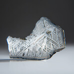 Genuine Natural Muonionalusta Meteorite Slice // 94.3 g