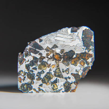 Genuine Natural Seymchan Pallasite Meteorite Slice with Acrylic Display Stand // 46.2g