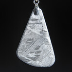 Genuine Natural Muonionalusta Meteorite Pendant with 18" Sterling Silver Chain // 7.1g