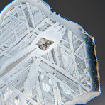 Genuine Natural Muonionalusta Meteorite Slice // 94.3 g