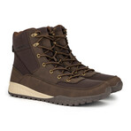 Meson // Brown (US: 8.5)