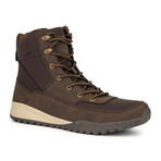 Meson // Brown (US: 8.5)