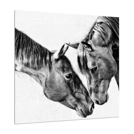 Kindred Colts Frameless Free Floating Reverse Printed Tempered Art Glass Wall Art