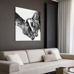 Kindred Colts Frameless Free Floating Reverse Printed Tempered Art Glass Wall Art