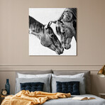 Kindred Colts Frameless Free Floating Reverse Printed Tempered Art Glass Wall Art