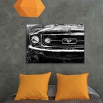 Ford Mustang Grille Black & White