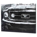 Ford Mustang Grille Black & White