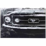 Ford Mustang Grille Black & White