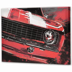 Red Car Grille