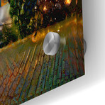 Odessa Ukraine Opera and Ballet Theater Night by Pedro Gavidia (12"H x 16"W x 0.13"D)