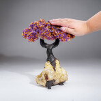 Genuine Ametrine Clustered Gemstone Tree on Citrine Matrix // The Harmony Tree // 5lb