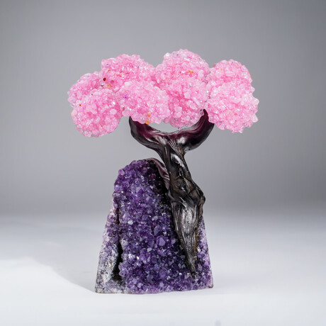 Custom Genuine Rose Quartz Clustered Gemstone Tree on Amethyst matrix // The Love Tree // 3.5lb