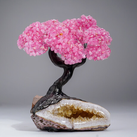 Custom Genuine Rose Quartz Clustered Gemstone Tree on Citrine Matrix // The Comfort Tree // 4.5lb