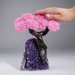 Custom Genuine Rose Quartz Clustered Gemstone Tree on Amethyst matrix // The Love Tree // 3.5lb