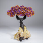 Genuine Ametrine Clustered Gemstone Tree on Citrine Matrix // The Harmony Tree // 5lb