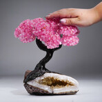 Custom Genuine Rose Quartz Clustered Gemstone Tree on Citrine Matrix // The Comfort Tree // 4.5lb