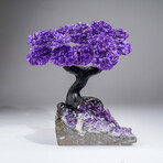 Genuine Amethyst Clustered Gemstone Tree on Amethyst Matrix // The Protection Tree // 4.5lb