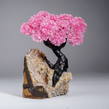 Genuine Rose Quartz Clustered Gemstone Tree on Citrine Matrix // The Comfort Tree // 6lb