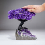 Genuine Amethyst Clustered Gemstone Tree on Amethyst Matrix // The Protection Tree // 4.5lb
