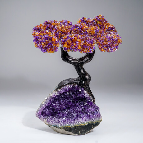 Custom Genuine Ametrine Clustered Gemstone Tree on Amethyst Matrix // The Harmony Tree // 6.5lb