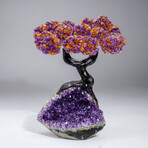 Custom Genuine Ametrine Clustered Gemstone Tree on Amethyst Matrix // The Harmony Tree // 6.5lb