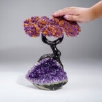 Custom Genuine Ametrine Clustered Gemstone Tree on Amethyst Matrix // The Harmony Tree // 6.5lb