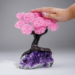 Custom Genuine Rose Quartz Clustered Gemstone Tree on Amethyst matrix // The Love Tree // 3lbs