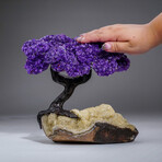 Genuine Amethyst Clustered Gemstone Tree on Citrine Matrix // The Empowerment Tree v.2 // 6lb