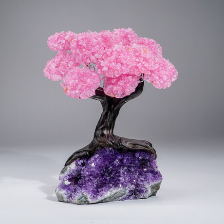 Custom Genuine Rose Quartz Clustered Gemstone Tree on Amethyst matrix // The Love Tree // 3lbs