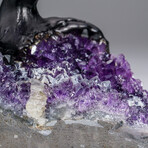 Genuine Amethyst Clustered Gemstone Tree on Amethyst Matrix // The Protection Tree // 4.5lb