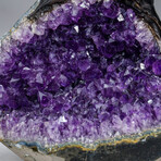 Custom Genuine Ametrine Clustered Gemstone Tree on Amethyst Matrix // The Harmony Tree // 6.5lb