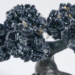 Small Black Tourmaline Clustered Gemstone Tree on Amethyst Matrix // The Cleansing Tree