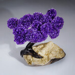 Genuine Amethyst Clustered Gemstone Tree on Citrine Matrix // The Empowerment Tree v.2 // 6lb