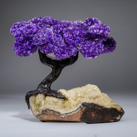 Genuine Amethyst Clustered Gemstone Tree on Citrine Matrix // The Empowerment Tree v.2 // 6lb