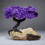 Genuine Amethyst Clustered Gemstone Tree on Citrine Matrix // The Empowerment Tree v.2 // 6lb