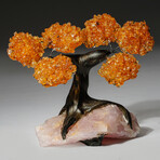 Small Genuine Citrine Clustered Gemstone Tree on Rose Quartz Matrix // The Wisdom Tree