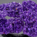 Genuine Amethyst Clustered Gemstone Tree on Amethyst Matrix // The Protection Tree // 4.5lb