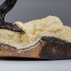 Genuine Amethyst Clustered Gemstone Tree on Citrine Matrix // The Empowerment Tree v.2 // 6lb