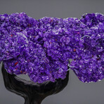 Genuine Amethyst Clustered Gemstone Tree on Citrine Matrix // The Empowerment Tree v.2 // 6lb