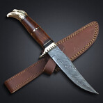 Eagle Hunting knife // 2025