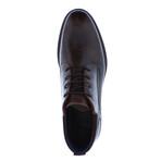 Vasa Shoe // Brown (US: 8)