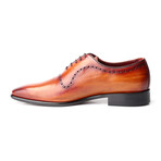 Gregor Dress Shoe // Tobacco (Euro: 39)