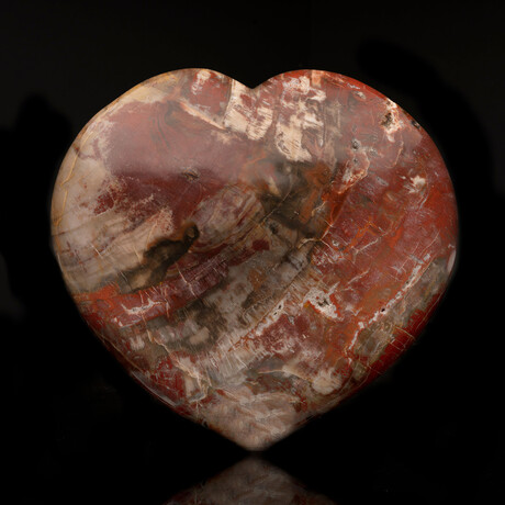 Hand-Carved Petrified Wood Heart // 9 Lb.