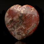 Hand-Carved Petrified Wood Heart // 9 Lb.